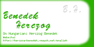 benedek herczog business card